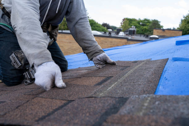 Quick and Trustworthy Emergency Roof Repair Services in Palmer Lake, CO